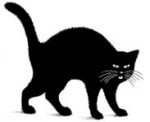 Cat_-_Black.jpg